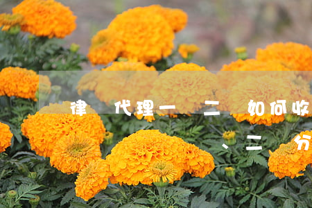 律師代理一審 二審如何收費(律師代理費是一審、二審分別收費的嗎?)